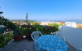 Apartments Vinea